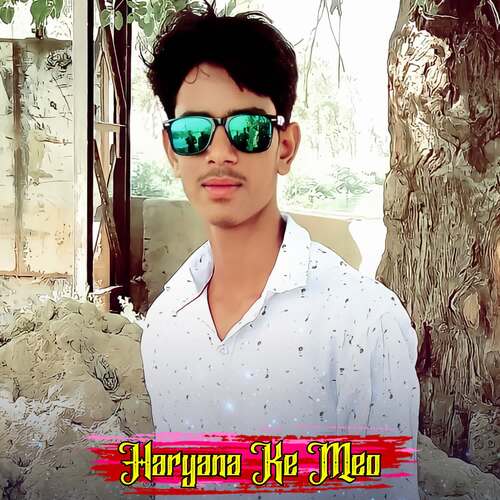 Haryana Ke Meo