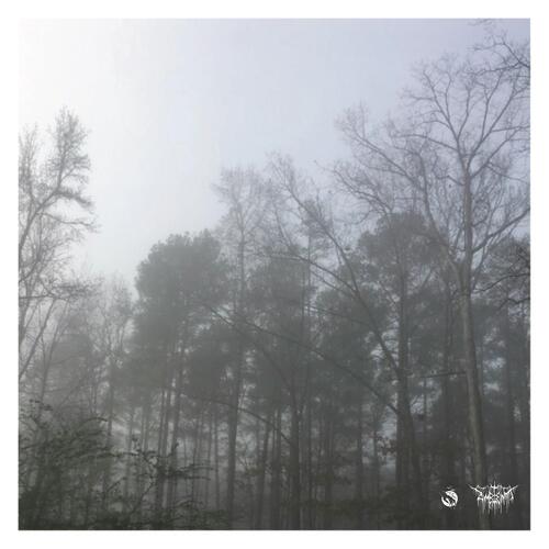 Ashes cover art