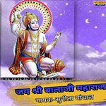 Jai Shri Balaji Maharaj