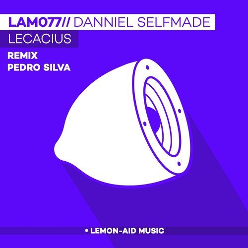 Level 2 (Pedro Silva Remix) cover art