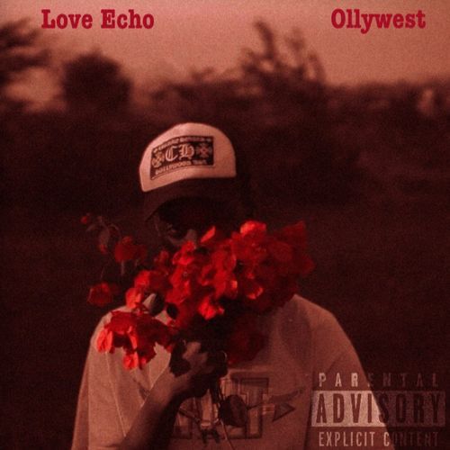 Love Echo cover art