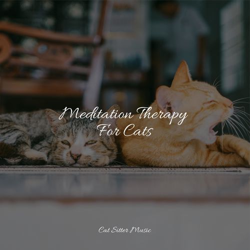 Meditation Therapy For Cats_poster_image