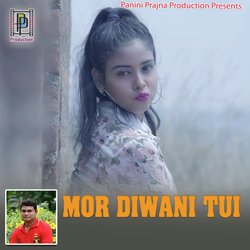 Mor Diwani Tui-CVoYBhlWVF4