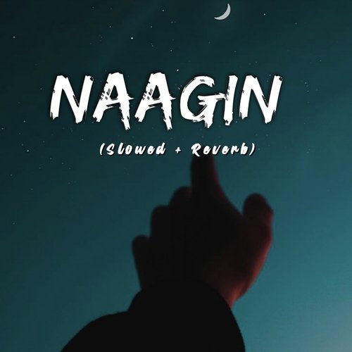 Naagin (Slowed + Reverb)