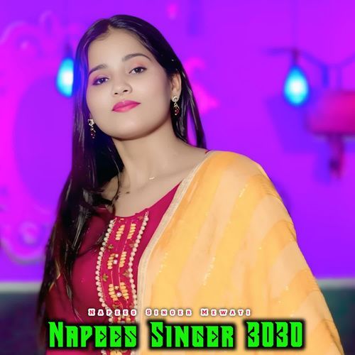 Napees Singer 3030
