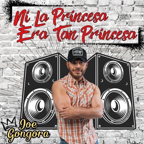 Ni La Princesa Era Tan Princesa_poster_image