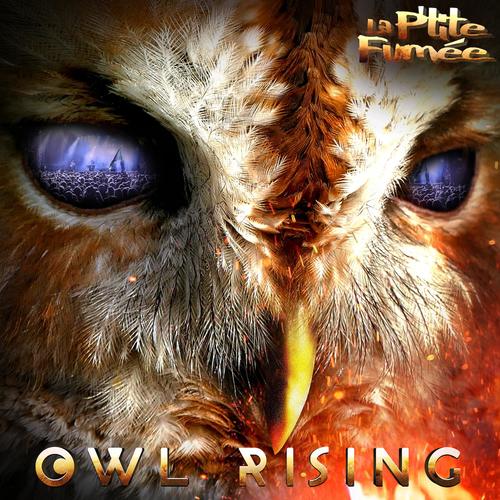 Owl Rising_poster_image