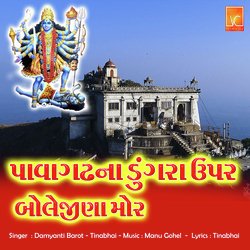 Pavagadh Na Dungar Uper Bole Jina Mor-AAkgWkVyVQs