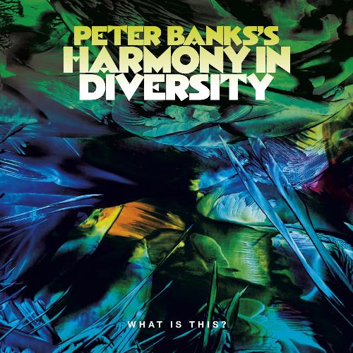 Peter Banks&#039;s Harmony in Diversity: What is This?_poster_image