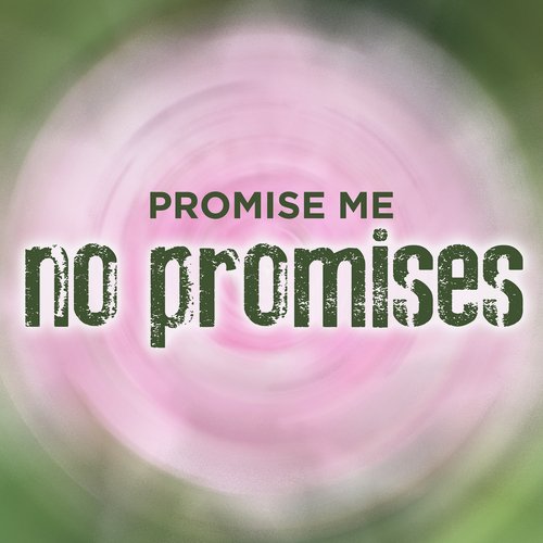 Promise Me No Promises_poster_image