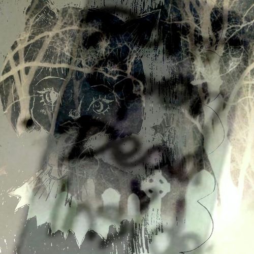 peach creek cover art