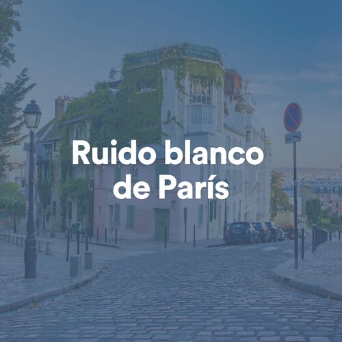 Ruido blanco de parís_poster_image