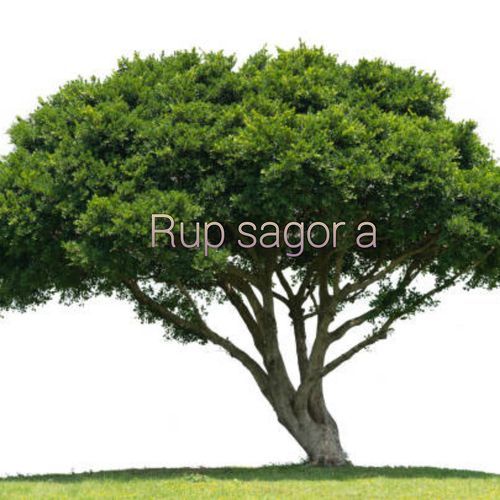 Rup sagor a