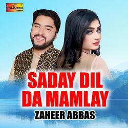 Saday Dil Da Mamlay-JgAceg5SVFk