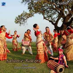 Salunse Bakoro