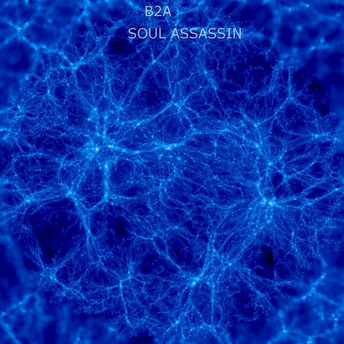 Soul Assassin - Single_poster_image