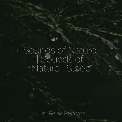 Sounds of Nature | Sounds of Nature | Sleep