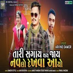 Tari Chagay Thay Gay Navalo Dekhavaaayo (Gujarati)