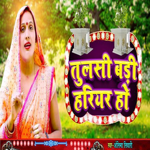 Tulsi Badi Hariyar Ho