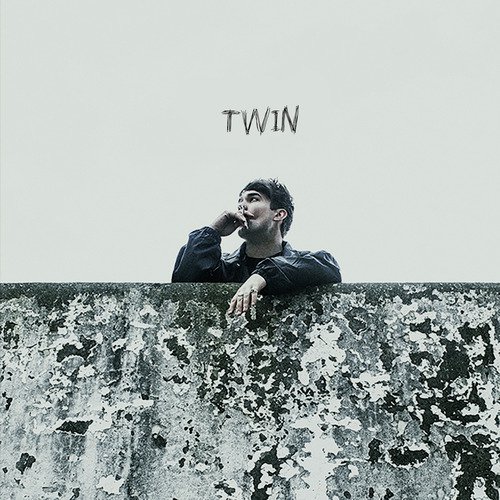 Twin_poster_image