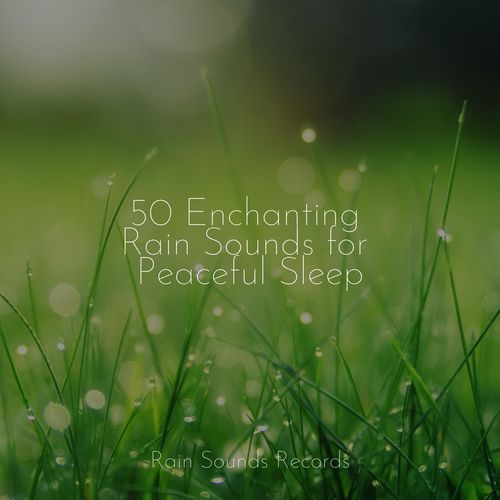 50 Enchanting Rain Sounds for Peaceful Sleep