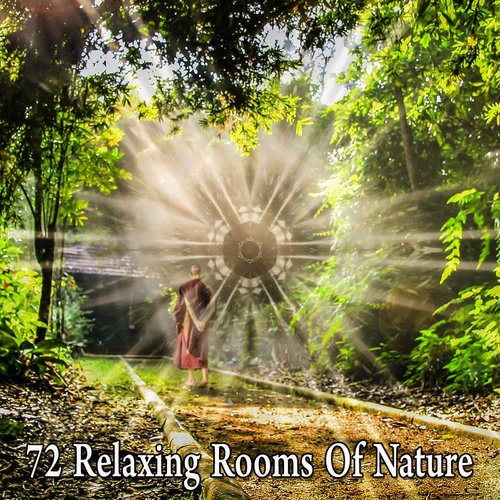 72 Relaxing Rooms Of Nature