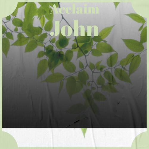 Acclaim John_poster_image