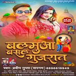 Balamuaa Basal Gujrat (Holi Song)