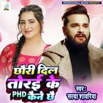 Chhauri Dil Torai Ke Phd Kaine Chhai (Maithili Sad Song)