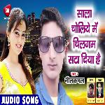 Choliye Me Chilgam Sata Diya Hai (Bhojpuri)