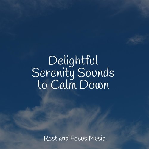 Delightful Serenity Sounds to Calm Down_poster_image