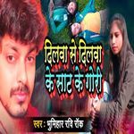 Dilawa Se Dilawa Ke Sat Ke Gori