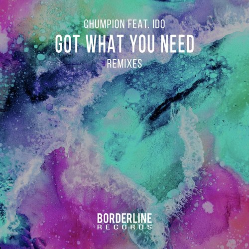 Got What You Need (Remixes)_poster_image