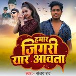 Hamar Jigari Yaar Awata