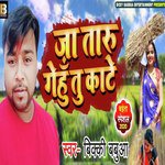Ja Taru Gehu Kaat Ke artwork