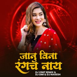 Janu Vina Rangach Naay (DJ Remix)-RREsVA5qf3o