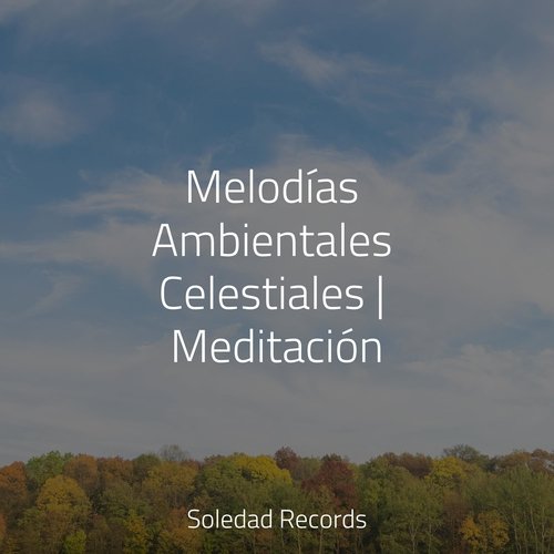 Melodías Ambientales Celestiales | Meditación_poster_image