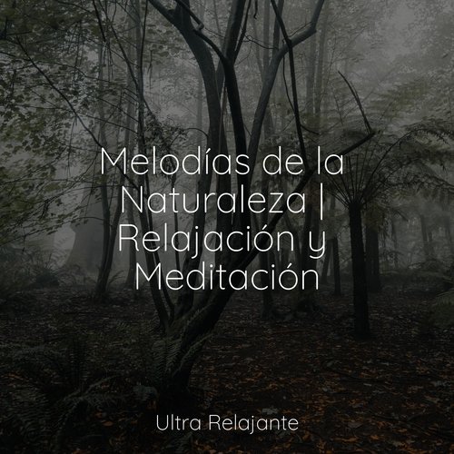 Reflexiones Solares
