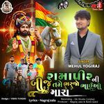 Ramapir Ni Bij Tame Bharjo Bhaiyo Mara