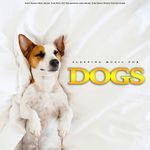 Relaxing Dog Music While You're Gone artwork