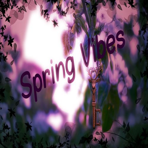 Spring Vibes cover art