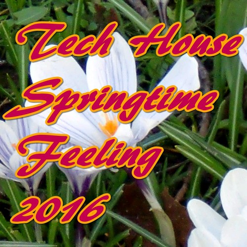 Tech House Springtime Feeling 2016