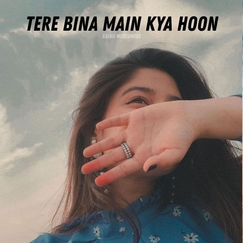 Tere Bina Main Kya Hoon