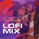 Tere Jism Se (LoFi Mix)