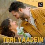 Teri Yaadein