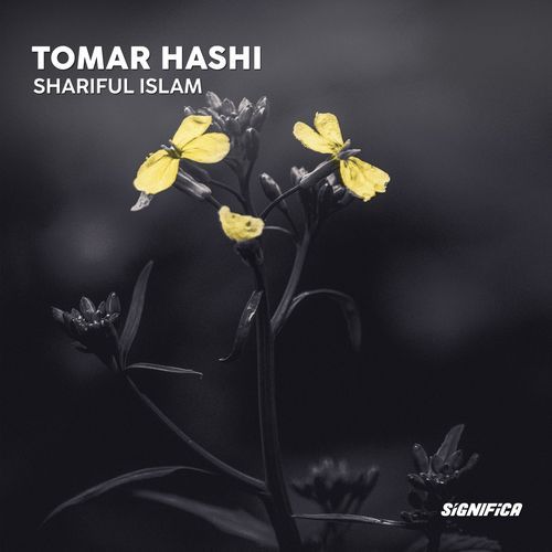 Tomar Hashi