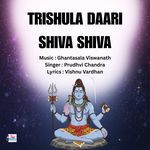 Trishula Daari Shiva Shiva