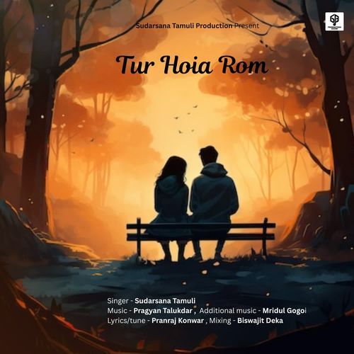 Tur Hoia  Rom