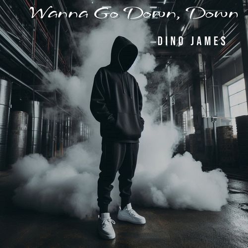 Wanna Go Down Down_poster_image