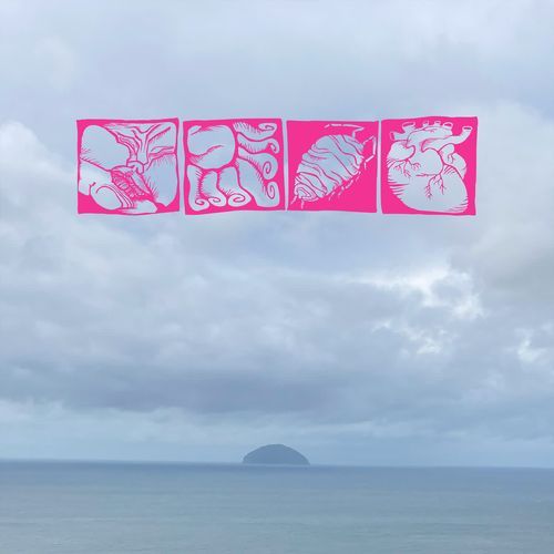 Craig cover art